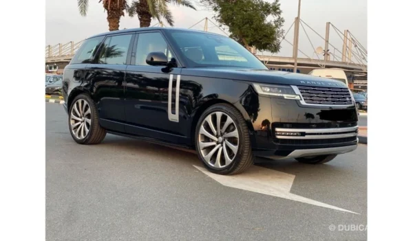 ايجار سيارة بالسائق في مصر